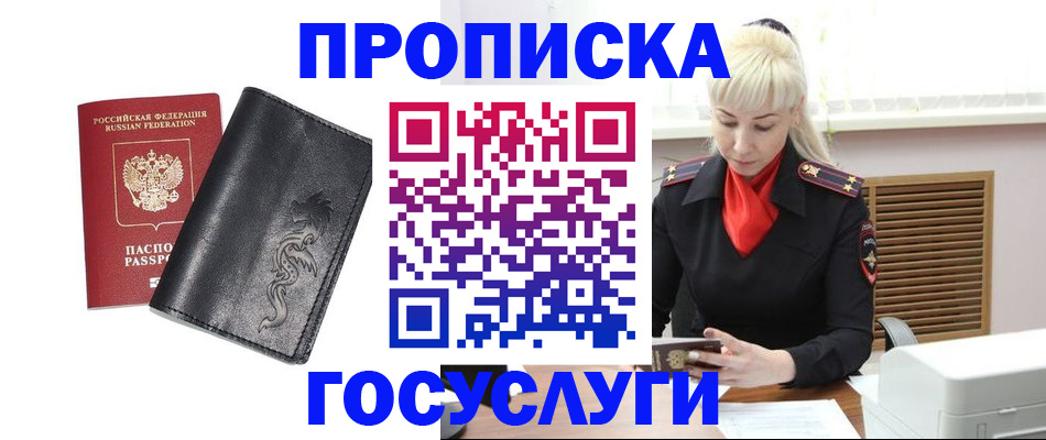 прописка поиск в Сольцах